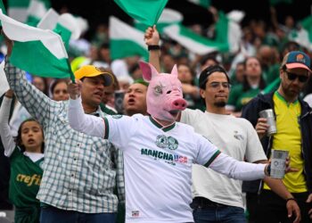 Estado de SP deve retomar venda de álcool nos estádios