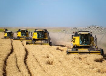 Depois de 2 anos, Petrobras (PETR4) retoma produção de fertilizantes no Nordeste