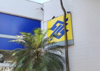 BB (BBAS3) e Natura investem R$ 50 mi em “dendê regenerativo” e renda familiar