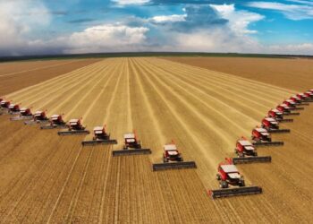 BrasilAgro (AGRO3) recusa 337 ofertas e aposta em ativos em crise no Paraguai