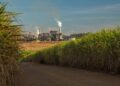 Fiagro faz reserva de dividendos de R$ 0,88 por cota; veja quais pagam acima de 1% ao mês