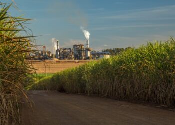 Fiagro faz reserva de dividendos de R$ 0,88 por cota; veja quais pagam acima de 1% ao mês