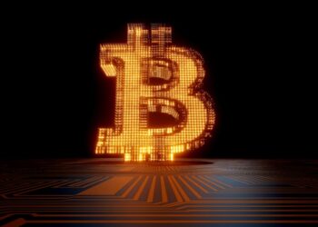 Baleia do Bitcoin: investidor fatura R$ 233 milhões com 12 anos de paciência