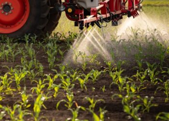 Petrobras (PETR4) vai produzir 5 mil toneladas de fertilizantes por dia já em 2026