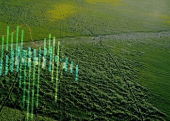 “Top pick do agro”: Itaú BBA vê alta de quase 50% para empresa da Bolsa até 2026