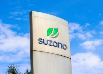 Suzano recebe R$ 250 mi do BNDES para restaurar 24 mil hectares em seis Estados