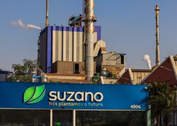 Suzano (SUZB3) precifica emissão de panda bonds; veja valor