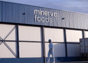 Minerva (BEEF3) aprova aumento de capital; veja valor