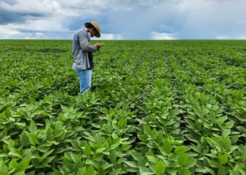 BrasilAgro (AGRO3) pagará dividendos de R$ 0,75 por ação; veja data-com