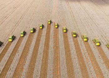 Renda fixa que paga acima da Selic até 2033 e financia o agro entra na mira dos analistas