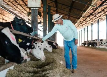 BB (BBAS3) emprestará dinheiro a produtores de leite em parceria com a Nestlé