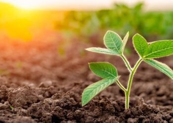 Vittia (VITT3) anuncia JCP e recompra de ações