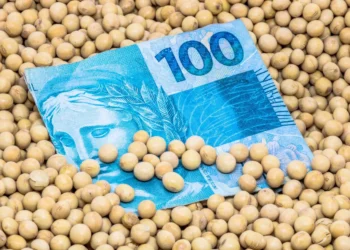 SNAG11 paga R$ 0,12 por cota e reforça estabilidade