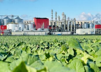 Energisa (ENGI11) investe no agronegócio via empresa de biofertilizantes