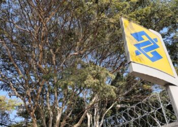 BB Seguridade (BBSE3) é a que paga mais dividendos entre seguradoras?