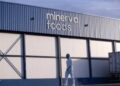 Minerva Foods (BEEF3) gera maior caixa livre de sua história; veja resultados