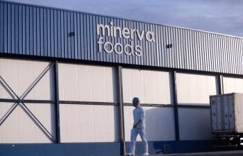 Minerva Foods (BEEF3) gera maior caixa livre de sua história; veja resultados