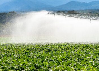 Prejuízo da SLCE3 é escanteado ante projeto de irrigação e dispara na Bolsa