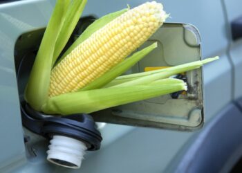 Renda fixa isenta, pagando acima da Selic até 2030, casa com agronegócio