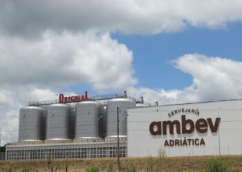 Fim da temporada de balanços: Como foram as 10 principais empresas da B3 no 3T25?