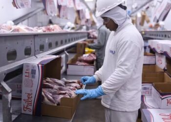 É hora de investir em JBS (JBSS32)? Ativa Investimentos revela tese