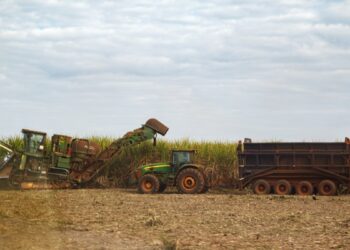 Prejuízo da Raízen (RAIZ4) piora +1.460% e soma R$ 2,31 bilhões