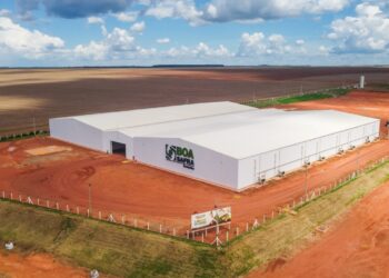 Boa Safra (SOJA3) aprova novo programa de recompra de ações