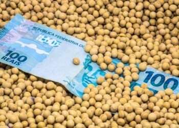 GAME11 anuncia dividendos para novembro; confira o valor