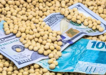 SNAG11 renova máxima e reforça carteira adimplente