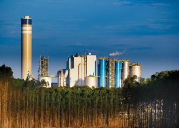 SUZB3 mantém eficiência e conquista analistas após balanço