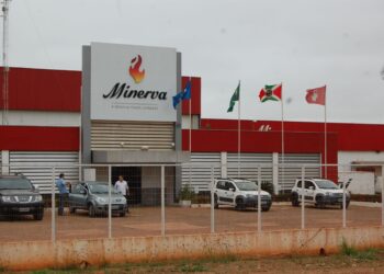 Minerva (BEEF3) cai mais de 10% após lucro abaixo do esperado